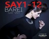 BAREI -SAY SAY