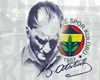 Fenerbahçe Cutout
