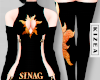 SINAG Top F!