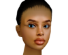Model Type