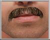 Moustache Brown V1