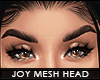 ! joy v.2 mesh head | t2