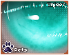[Pets] Ame | eyes