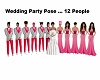 Wedding Party Pose 12P