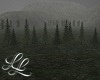 Dark Pine