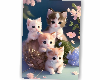 EM Cute Kittys Wal Photo