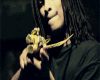 |zTL| Stomp $~