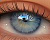 AZUL RICELLI