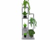 MP~LEOPARD PLANT STAND