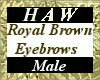 Royal Brown Eyebrows - M