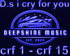 D.s i cry for you  mix
