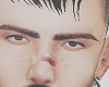 Wos brows
