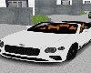 Bently GTC White/Green