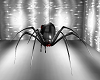 black red drop spider