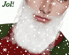 Santa Claus Beard
