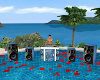 Beach DJ