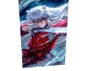A, Inuyasa 27