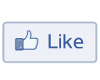 Facebook Like Head Tag