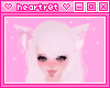 White Cat Ears w Bow