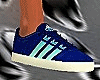 [z] A blue shoes