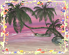 🌴Coconut Multiposes