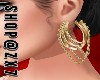 ZY: Sassy Gold Earrings