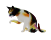 Mixcolor Cat