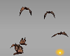 flying bats