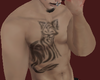 Cats Skin