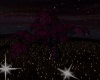 *Purple Swing Tree*