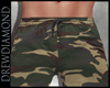Dd- Shorts military +Tat