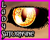 Sparkle Gold Cat Eyes M