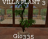 [Gio]VILLA PLANT 3