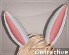 [iD] Easter Bunny Ear