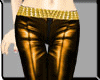 NV Gold Pants + Boots