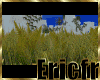 [Efr] Grass Rug 2