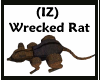 (IZ) Wrecked Rat