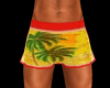 Beach Sexy Shorts/Boxer