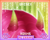 🌸; Pitaya Horns