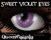  [QG]Sweet Violet Eyes
