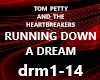 RUNNING DOWN A DREAM