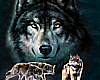 (RD)Wolf on the hunt (M)