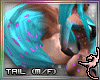 (IR)LeoKat:Tail1 (M/F)