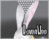 Bunny Costume M / F