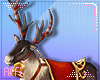 Xmas Reindeer  Animated