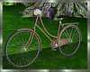 Enchanted Love Bike 3CP