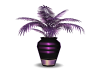 purple dance club plant