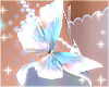 Siren Butterfly 1