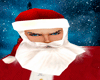 *YR* hat + beard Santa