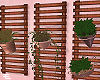 Plants.Shelves